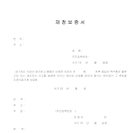 재정보증서 (개인) 재정보증서 (개인)